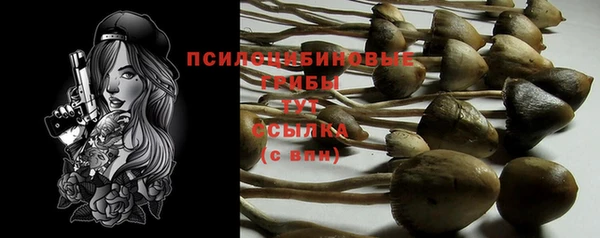 MESCALINE Новозыбков