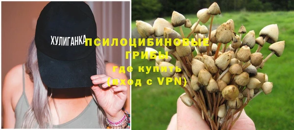 твердый Новокубанск